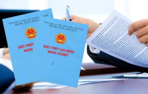 Cách làm giấy phép lao động để dạy tiếng Anh tại Việt Nam